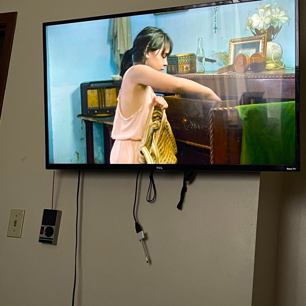48' in flat screen roku '